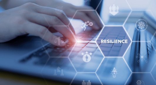 Digital Resilience Strategies for Enterprises